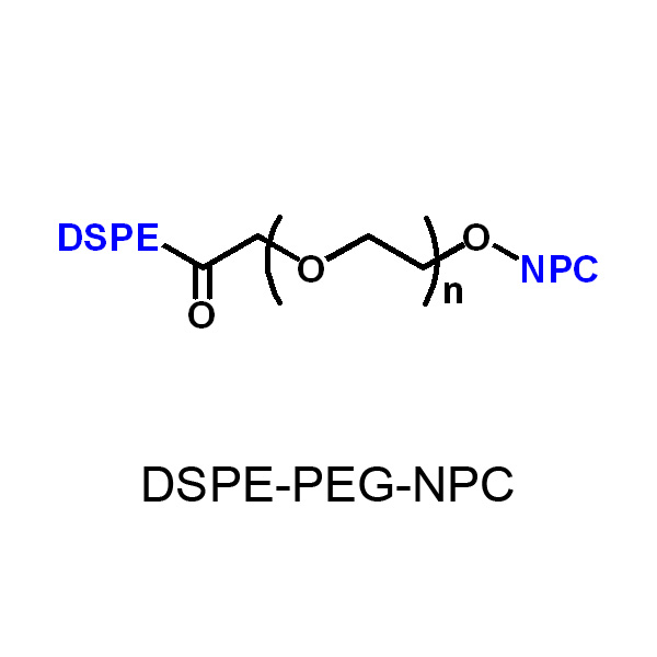 二硬脂酰基磷脂酰乙醇胺-PEG-对硝基苯碳酸酯